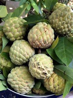 જો તમે આયર્નની ઉણપને દૂર કરવા માંગો છો, તો આ ફળ ખાવું જોઈએ, જાણો ક્યા ફળમાં સૌથી વધુ આયર્ન હોય છે