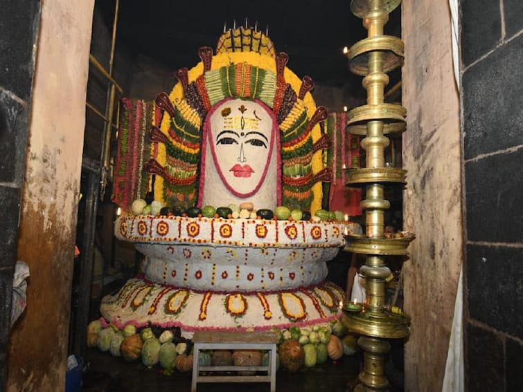 1000 kg rice, 760 kg vegetables Annabhishek ceremony for Thanjavur Big temple peru udaiyar temple 1000 கிலோ அரிசி, 760 கிலோ காய்கறிகளால் தஞ்சை பெருவுடையாருக்கு அன்னாபிஷேக விழா