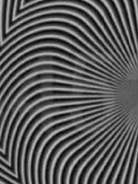 कितनी तेज है आपकी नजर, 10 सेकेंड में क्या ढूंढ सकेंगे छिपे हुए नंबर?