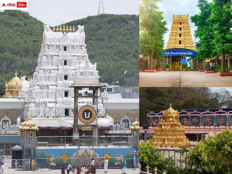 Tirumala srivari temple reopened after samprokshan due to chandragrahanam Tirumala Temple: ముగిసిన గ్రహణం - శుద్ధి అనంతరం తెరుచుకున్న శ్రీవారి ఆలయం