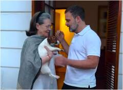 कुत्ते का नाम 'नूरी' रखने पर फंसे राहुल गांधी? AIMIM नेता दाखिल किया परिवाद 