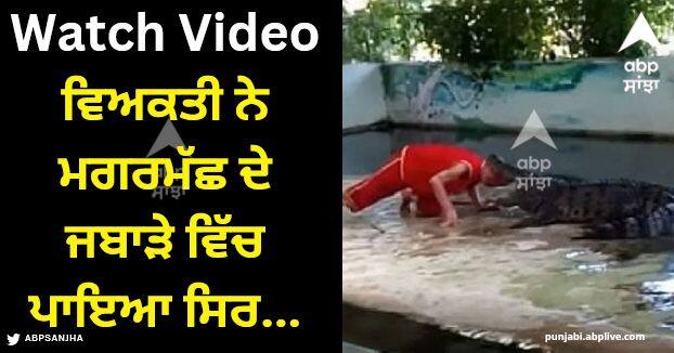 crocodile attack on man while he is performing a dangerous stunt shocking video viral Viral Video: ਵਿਅਕਤੀ ਨੇ ਮਗਰਮੱਛ ਦੇ ਜਬਾੜੇ ਵਿੱਚ ਪਾਇਆ ਸਿਰ, ਫਿਰ ਜੋ ਹੋਇਆ ਉਹ ਦੇਖ ਕੰਬ ਜਾਵੇਗੀ ਰੂਹ- VIDEO