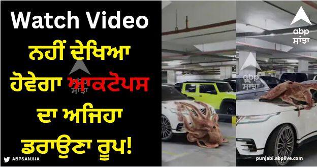 octopus shatters car within second left people shocked amazing video viral Viral Video: ਨਹੀਂ ਦੇਖਿਆ ਹੋਵੇਗਾ ਆਕਟੋਪਸ ਦਾ ਅਜਿਹਾ ਡਰਾਉਣਾ ਰੂਪ! ਸਕਿੰਟਾਂ ਵਿੱਚ ਤਬਾਹ ਕਰ ਦਿੱਤਾ ਕਾਰ