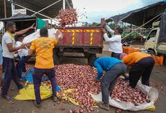 Lasalgaon Onion : लासलगाव बाजार समितीत कांदा दरात ५०० ते ७०० रुपयांची घसरण...