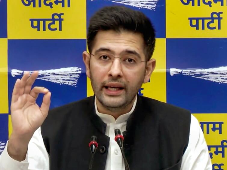 Supreme Court Raghav Chadha Rajya Sabha Suspension 'Exclusion Of Oppn Member A Serious Matter': Supreme Court On Raghav Chadha's Suspension From RS