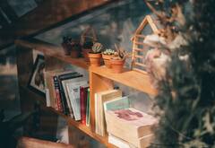 Vastu Tips : 'या' उपायाने घरात भरपूर पैसे येतील , वाचा सविस्तर