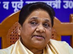 UP की सीमा से लगी सीटों पर BSP की नजर, इन इलाकों में होने वाली हैं मायावती की 9 जनसभाएं