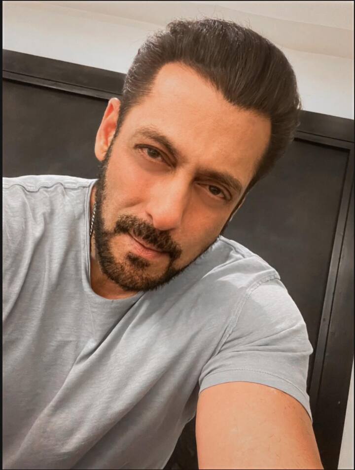 सलमान खान ने कहा था कि  वो सभी कलाकार हैं. जो वीजा लेकर इंडिया आते हैं और ये वीजा उन्हें सरकार ही देती है.