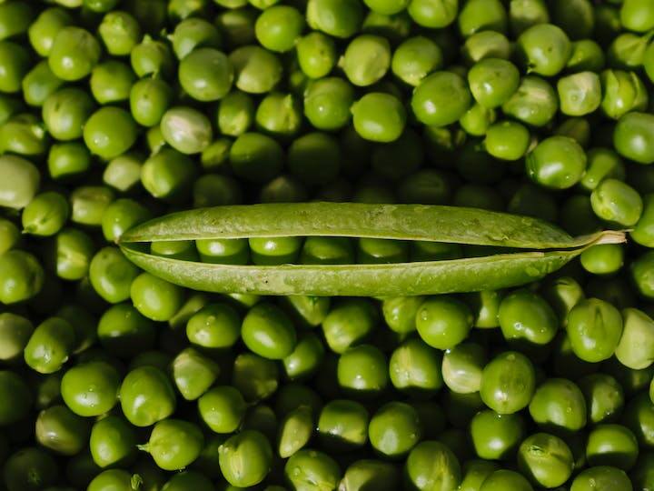 Green Pea at Home: आप मटर को अपने घर में ही उगा सकते हैं. सर्दियों के मौसम में घर-घर में मटर का इस्तेमाल किया जाता है.