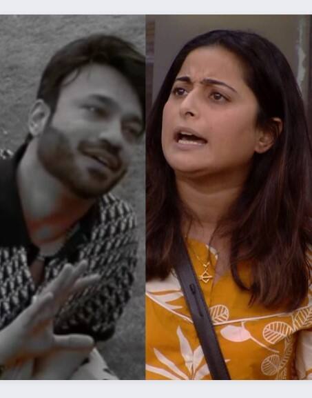 ਵਿੱਕੀ ਜੈਨ 'ਤੇ ਬੁਰੀ ਤਰ੍ਹਾਂ ਭੜਕੀ ਐਸ਼ਵਰਿਆ