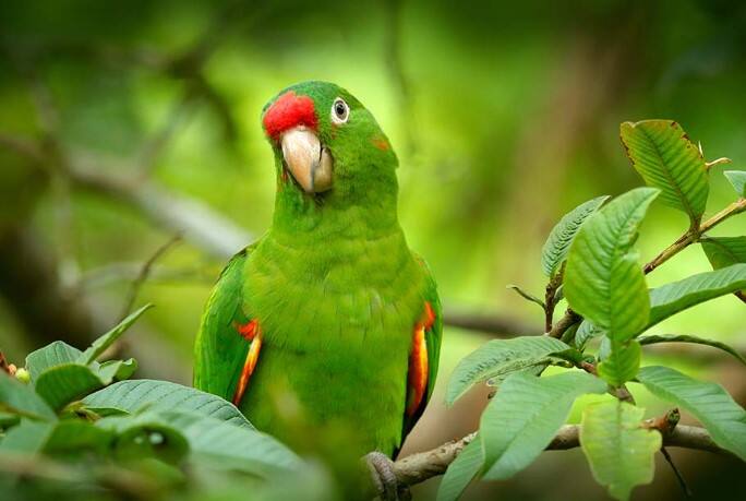 તસવીરનો ઉપયોગ પ્રસ્તુતિકરણ માટે કરવામાં આવ્યો છે.