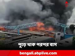 ভয়াবহ আগুনে খাক একের পর এক বাস! আকাশ ঢাকল ধোঁয়ায়