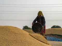 प्रधानमंत्री फसल बीमा योजना अपनाकर फसलों को सुरक्षा कवच प्रदान करें किसान भाई