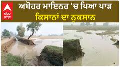 Fazilka River| ਅਬੋਹਰ ਮਾਇਨਰ 'ਚ ਪਿਆ ਪਾੜ, ਕਿਸਾਨਾਂ ਦਾ ਨੁਕਸਾਨ