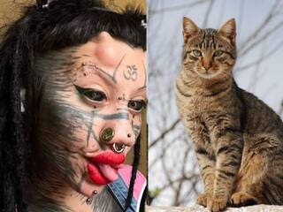 Woman gets 20 body modifications to realise her dream of transitioning into a cat Italy: ‘பூனையாக மாறும்  பெண்’ .. உடலில் செய்த 20 மாற்றங்கள்.. இத்தாலியில் பொதுமக்கள் அதிர்ச்சி..!