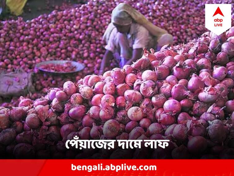 Onion Price Hike In Kolkata, Price doubled in a week Onion Price Hike : উৎসবের মরশুমে কলকাতায় লম্বা লাফ পেঁয়াজের দামে, এক সপ্তাহে দ্বিগুণ হল মূল্য