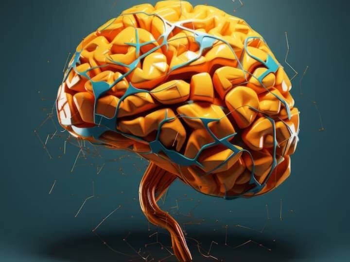 एक समय था जब स्ट्रोक बूढ़े- बुजुर्ग लोगों की बीमारी थी. लेकिन पिछले कुछ सालों में यह सबसे यंग एक के लोगों को अपना शिकार बना रही है. अब स्थिति इतनी खराब है कि देश के सामने यह एक चिंता का विषय बना हुआ है. स्टडी के मुताबिक 45 या उससे कम उम्र के लोगों में लगभग 10 से 14 प्रतिशत लोगों को स्ट्रोक पड़ने के केसेस बढ़े हैं. जिसके कारण यह एक गंभीर चिंता का विषय है. हृदय संबंधी बीमारी अतालता, लिपिड विकार, मोटापा, मधुमेह, धूम्रपान, शराब पीना और शारीरिक निष्क्रियता - स्ट्रोक के लगभग 50 प्रतिशत लोगों के जोखिम को बढ़ाते हैं.