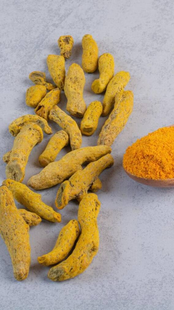 ਹਲਦੀ ਦੀ ਖੇਤੀ ਕਰਨ ਨਾਲ ਹੁੰਦੀ ਚੰਗੀ ਕਮਾਈ