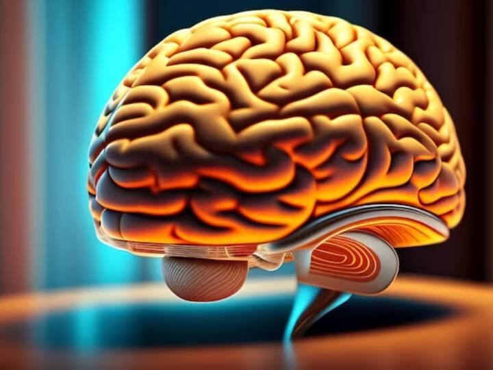 तनाव स्ट्रोक का कारण कैसे बनता है? तीव्र मनोवैज्ञानिक तनाव के लंबे समय तक संपर्क में रहने से घटनाओं का सिलसिला शुरू हो सकता है. न्यूरोएंडोक्राइन फंक्शन में दिक्कत आना जिसके कारण स्ट्रेस हार्मोन का शरीर में बढ़ना. शरीर में जगह-जगह सूजन हो जाना. ब्लड सर्कुलेशन का फट जाना या खऱाब हो जाना, ब्लड सर्कुलेशन में कैल्शियम जमा हो जाना.