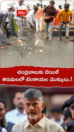 చంద్రబాబుకు బెయిల్...తిరుమలలో టెంకాయల మొక్కులు.!