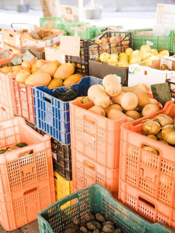 फलों और सब्जियों की पैकिंग का कारोबार कराएगी अच्छी कमाई