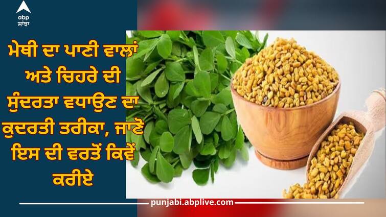 Enhance hair and skin radiance with fenugreek water health care news Fenugreek Water: ਮੇਥੀ ਦਾ ਪਾਣੀ ਵਾਲਾਂ ਅਤੇ ਚਿਹਰੇ ਦੀ ਸੁੰਦਰਤਾ ਵਧਾਉਣ ਦਾ ਕੁਦਰਤੀ ਤਰੀਕਾ, ਜਾਣੋ ਇਸ ਦੀ ਵਰਤੋਂ ਕਿਵੇਂ ਕਰੀਏ