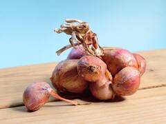 Food Tips: வெங்காயத்தை நீண்ட நாட்கள் கெட்டுப்போகாமல் சேமித்து வைப்பது எப்படி? இதோ எளிதான வழி..!