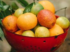 Lemon: அனைத்திலும் கைகொடுக்கும் ஆல்-இன்-ஆல் அழகுராஜா... எலுமிச்சையின் பயன்கள்..!