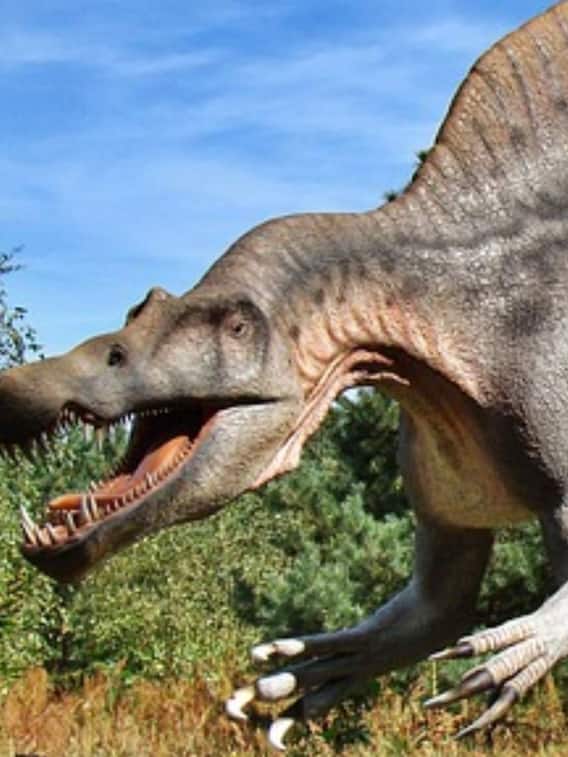 दुनिया से कैसे खत्‍म हुए डायनासोर, पता चल गया!