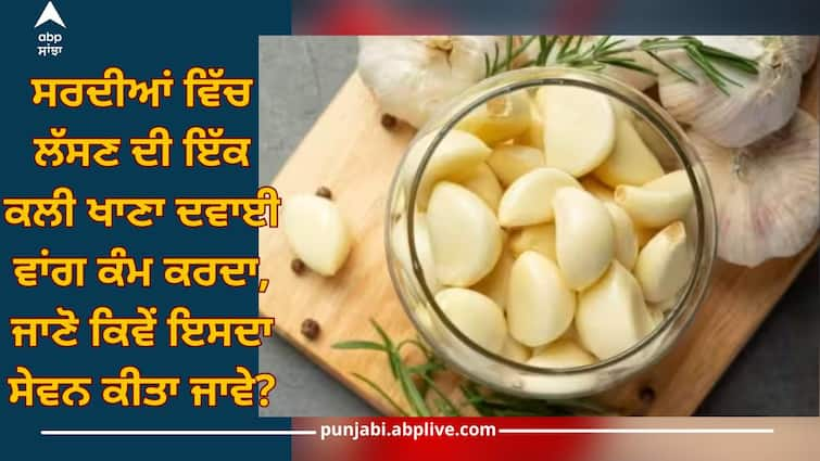 Garlic Benefits In Winter: Eating a clove of garlic in winter works like medicine, know how to consume it? Garlic Benefits In Winter: ਸਰਦੀਆਂ ਵਿੱਚ ਲੱਸਣ ਦੀ ਇੱਕ ਕਲੀ ਖਾਣਾ ਦਵਾਈ ਵਾਂਗ ਕੰਮ ਕਰਦਾ, ਜਾਣੋ ਕਿਵੇਂ ਇਸਦਾ ਸੇਵਨ ਕੀਤਾ ਜਾਵੇ?