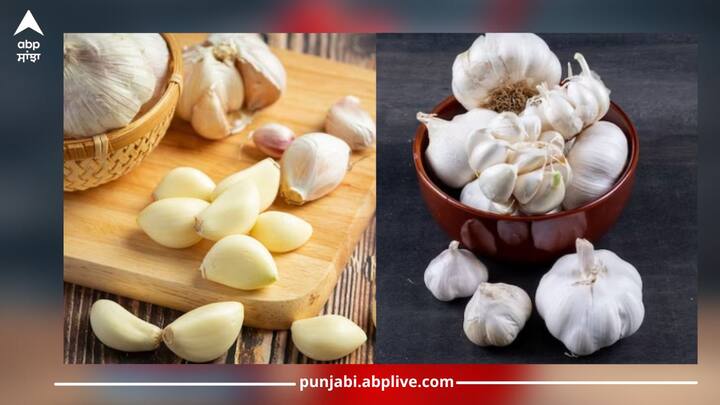 Garlic: ਸਰਦੀਆਂ ਦੇ ਮੌਸਮ ਵਿੱਚ ਸਰੀਰ ਦੀ ਰੋਗ ਪ੍ਰਤੀਰੋਧਕ ਸਮਰੱਥਾ ਕਮਜ਼ੋਰ ਹੋ ਜਾਂਦੀ ਹੈ। ਇਸ ਮੌਸਮ 'ਚ ਵਾਇਰਸ ਅਤੇ ਬੈਕਟੀਰੀਆ ਸਰਗਰਮ ਹੋ ਜਾਂਦੇ ਹਨ ਜੋ ਜ਼ੁਕਾਮ, ਖੰਘ, ਬੁਖਾਰ ਵਰਗੀਆਂ ਬਿਮਾਰੀਆਂ ਦਾ ਕਾਰਨ ਬਣਦੇ ਹਨ।