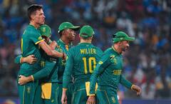 न्यूझीलंडच्या पराभवाचा पाकिस्तानला फायदा, उपांत्य फेरीच्या आशा उंचावल्या