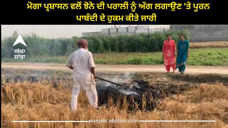 Moga administration has ordered a complete ban on burning paddy straw Punjab news: ਮੋਗਾ ਪ੍ਰਸ਼ਾਸਨ ਵਲੋਂ ਝੋਨੇ ਦੀ ਪਰਾਲੀ ਨੂੰ ਅੱਗ ਲਗਾਉਣ 'ਤੇ ਪੂਰਨ ਪਾਬੰਦੀ ਦੇ ਹੁਕਮ ਕੀਤੇ ਜਾਰੀ