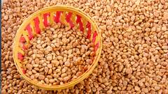 શિયાળામાં ઉધરસની સમસ્યામાં ચારોળીનું આ રીતે કરો સેવન, વેઇટ લોસ સાથ મળશે ચોંકાવનારા ફાયદા