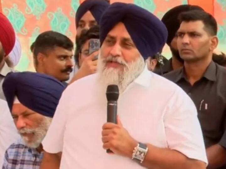 Punjab Day 2023 SAD Chief Sukhbir Singh Badal remembered 1984 Anti Sikh Riots Punjab Day 2023: पंजाब दिवस पर 1984 के सिख दंगों को सुखबीर बादल ने किया याद, बोले- ‘दिलो-दिमाग पर...’