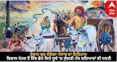 Punjabi Divas 2023: ਹੈਰਾਨ ਕਰ ਦੇਵੇਗਾ ਪੰਜਾਬ ਦਾ ਇਤਿਹਾਸ, ਵਿਸ਼ਾਲ ਖੇਤਰ ਤੋਂ ਇੰਝ ਛੋਟੇ ਜਿਹੇ ਸੂਬੇ 'ਚ ਸੁੰਗੜੀ ਪੰਜ ਦਰਿਆਵਾਂ ਦੀ ਧਰਤੀ