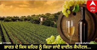 Wine Capital of India: ਭਾਰਤ ਦੇ ਕਿਸ ਸ਼ਹਿਰ ਨੂੰ ਕਿਹਾ ਜਾਂਦੈ ਵਾਈਨ ਕੈਪੀਟਲ... ਕੀ ਉੱਥੇ ਘਰ-ਘਰ ਵਿੱਚ ਬਣਦੀ ਹੈ ਵਾਈਨ?