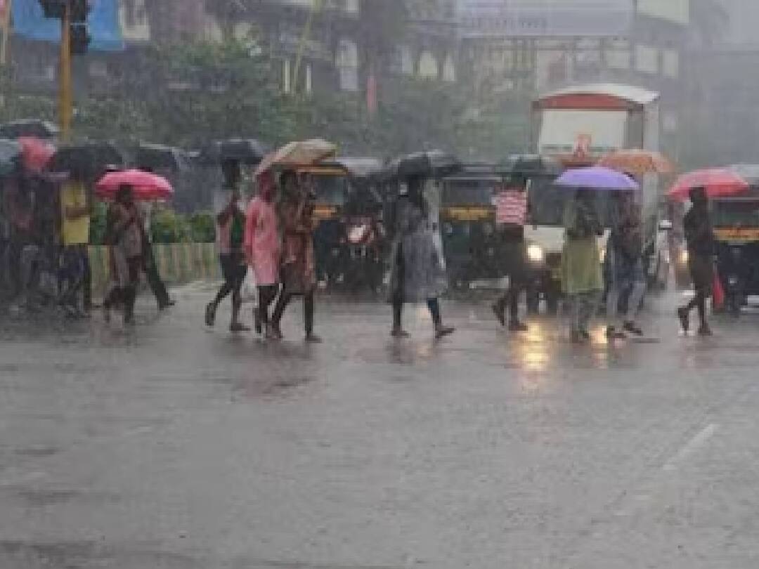TN Rain Alert: 11 மாவட்டங்களில் மழைக்கு வாய்ப்பு.. எந்தெந்த பகுதிகளில்? மழை அப்டேட்ஸ் இதோ உங்களுக்காக.. In Tamil Nadu, 11 districts are likely to receive moderate to light rain in the next 3 hours, the Meteorological Department said. TN Rain Alert: 11 மாவட்டங்களில் மழைக்கு வாய்ப்பு.. எந்தெந்த பகுதிகளில்? மழை அப்டேட்ஸ் இதோ உங்களுக்காக..