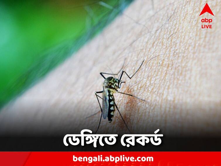 Dengue concern on the rise, record number of cases in 5 years in the state Dengue Case: বাড়ছে ডেঙ্গি উদ্বেগ, ৫ বছরে আক্রান্তের সংখ্যায় রেকর্ড রাজ্যে