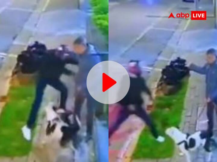 Watch dog attacked attackers and saved life of his owner video went viral Video: डॉग ने फिर दिखाई वफ़ादारी, यूं बचाई मालिक की हमलावरों से जान, वीडियो देख नहीं होगा यकीन!