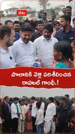 పొలానికి వెళ్లి పరిశీలించిన రాహుల్ గాంధీ.!