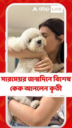 খুদে পোষ্যের সাতে পা, সারমেয়র জন্মদিনে বিশেষ কেক আনলেন কৃতী