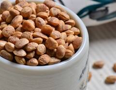 શિયાળામાં ઉધરસની સમસ્યામાં ચારોળીનું આ રીતે કરો સેવન, વેઇટ લોસ સાથ મળશે ચોંકાવનારા ફાયદા