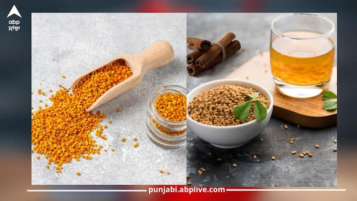 Fenugreek Water: ਮੇਥੀ ਦੇ ਬੀਜ ਦੀ ਵਰਤੋਂ ਪੁਰਾਣੇ ਸਮੇਂ ਤੋਂ ਵਾਲਾਂ ਦੀ ਦੇਖਭਾਲ ਲਈ ਕੀਤੀ ਜਾਂਦੀ ਰਹੀ ਹੈ। ਇਹ ਇੱਕ ਘਰੇਲੂ ਉਪਾਅ ਹੈ ਜੋ ਵਾਲਾਂ ਦੀਆਂ ਸਮੱਸਿਆਵਾਂ ਨੂੰ ਦੂਰ ਕਰਨ ਵਿੱਚ ਮਦਦ ਕਰਦਾ ਹੈ।