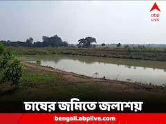 ছিল চাষের জমি, হয়ে গেল জলাশয়, 'সব হারানো' সিঙ্গুরের আরেক ছবি