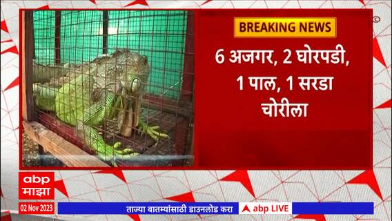 Shivaji Park Marine Aqua Zoo : शिवाजी पार्क मरीन अॅक्वा झूमधून प्राणी चोरीला, कोणते प्राणी चोरीला?