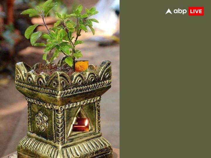 कार्तिक मास में तुलसी पूजन करने से घर में धर्म, अर्थ, काम और मोक्ष की प्राप्ति होती है और घर में सुख शांति भी बनी रहती है.