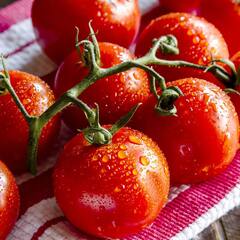 Tomato Side Effects: ਹੱਦ ਤੋਂ ਜ਼ਿਆਦਾ ਟਮਾਟਰ ਖਾਣ ਨਾਲ ਹੋ ਸਕਦੇ ਹਨ ਇਹ ਨੁਕਸਾਨ