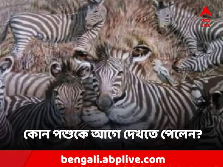 Zoom in on the picture to see which animal do you see first The answer will tell what kind of person you are Optical Illusion: ছবিটি জুম করে দেখুন কোন পশুটি আগে দেখছেন? উত্তরই বলে দেবে আপনি কেমন মানুষ