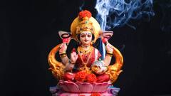 Diwali 2023: દિવાળીમાં મહાલક્ષ્મીની પૂજા સમયે આ એક ઉપાય અચૂક કરજો, ધન સમૃદ્ધિમાં થશે વૃદ્ધિ